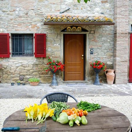 Casa Donella B&B Gricignano Exterior photo
